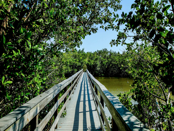 Sanibel Island Three Bedroom Condo For Rent Sleeps 6 Guests