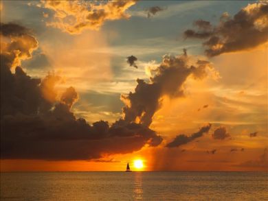 Marco Island Condo 919122