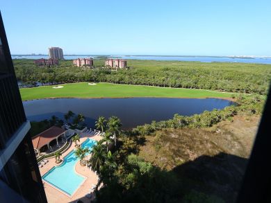 Bonita Springs Condo 919130