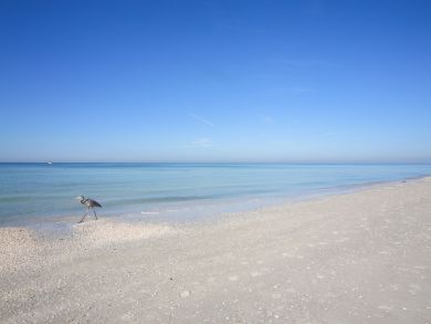 Longboat Key Condo 919152