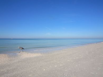 Longboat Key Condo 919155
