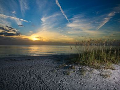Longboat Key Home 919160