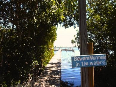 Boca Grande Home 919226