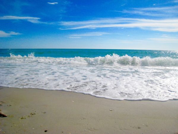 Beachfront Rental Home in Placida Three Bedroom