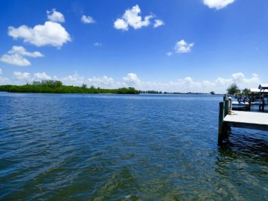 Boca Grande Home 919233