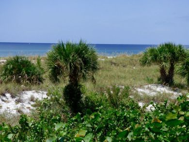 Boca Grande Home 919233