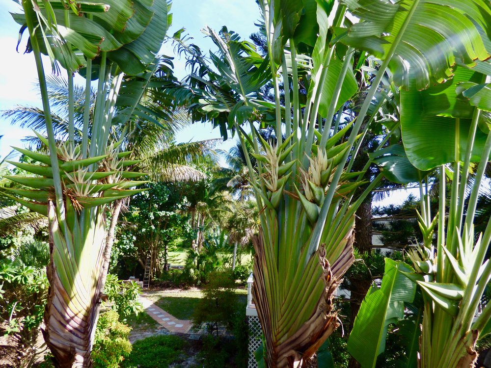 Boca Grande Home 919233