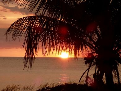 Boca Grande Home 919243