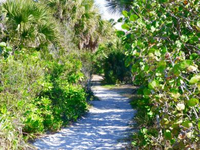 Boca Grande Home 919244
