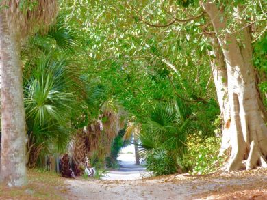 Boca Grande Home 919252