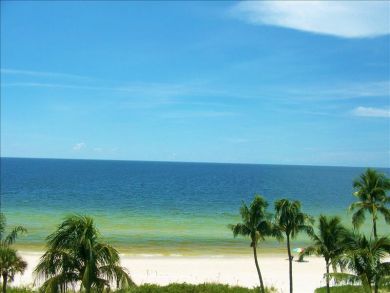 Naples Condo 919326