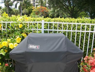 Naples Condo 919336