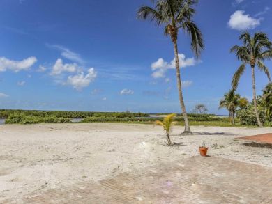 Full view of Gulf, Lovers Key, and Big Carlos Pass