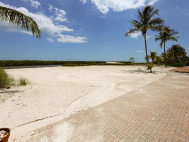 Full view of Gulf, Lovers Key, and Big Carlos Pass