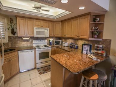 Fort Myers Condo 919391