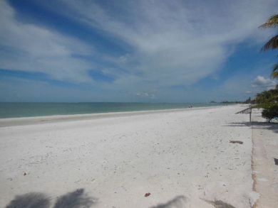 Fort Myers Home 919431