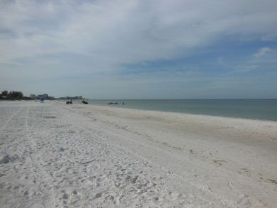 Fort Myers Home 919431