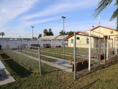 Fort Myers Home 919503
