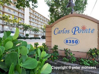 Fort Myers Condo 919515