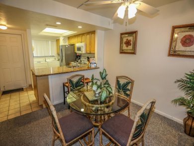 Fort Myers Condo 919529