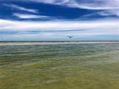 Fort Myers Home 919539