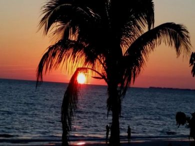 Fort Myers Condo 919558