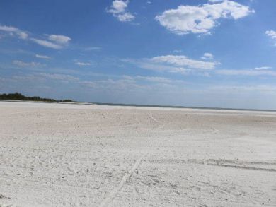 Fort Myers Condo 919563