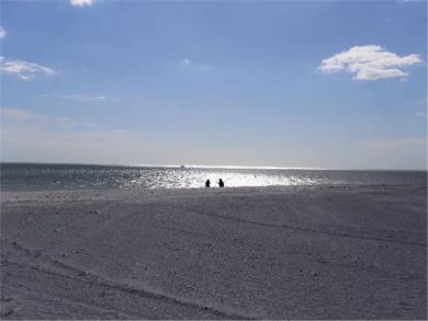 Fort Myers Condo 919563