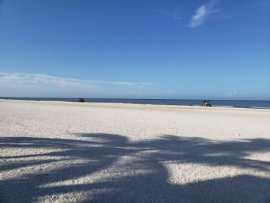 Fort Myers Condo 919569