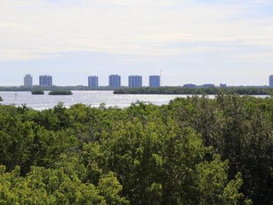 Fort Myers Condo 919640