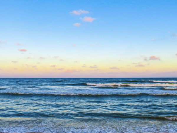 Views Views Views Amazing New Arrival in Fort Myers Beach