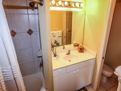 Fort Myers Condo 919717