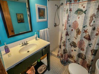 Fort Myers Condo 919720