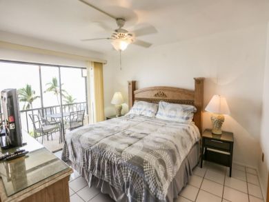 Fort Myers Condo 919731