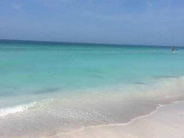 Holmes Beach Vacation Condo On Beach One Bedroom
