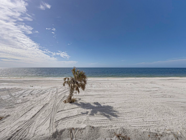 Boca Grande Three Bedroom Beach House Paradise Awaits