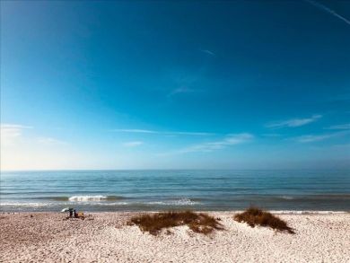 Longboat Key Condo 919805