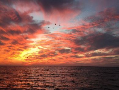 Charming Vacation Rental on Longboat Key. Call Today.