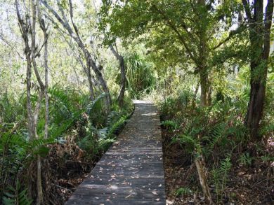 Sanibel Home 919849