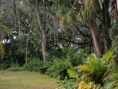 Sarasota Home 919896