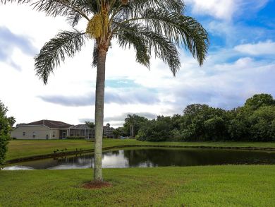 Sarasota Home 919900