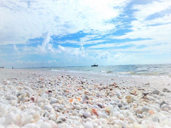 Short Walk to Beach Luxury Sanibel Vacation Caged Pool Home