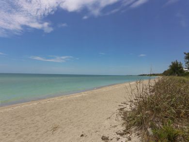 Siesta Key Home 919937