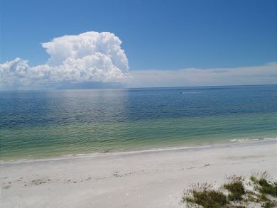 Sanibel Condo 919957