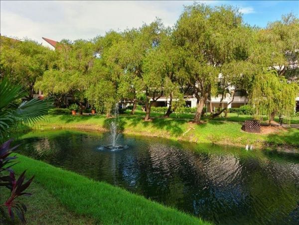 Siesta Key 3 Bedroom Bay Condo Short Walk to the Beach
