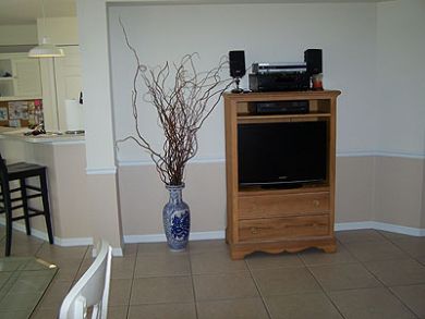 Bonita Springs Condo 920056