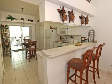 Bonita Springs Condo 920057
