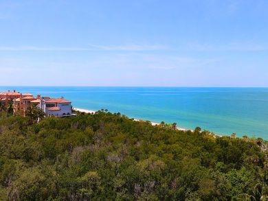 Naples Condo 920062