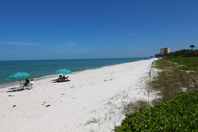 Naples Condo 920062