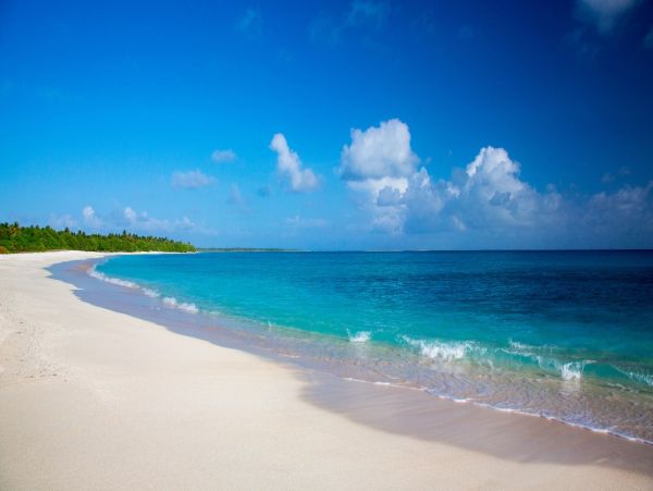 Short Walk to Beach Siesta Key Vacation Condo Two Bedrooms